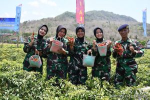 Hut TNI ke 78, Lanal Yogyakarta Laksanakan Ketahanan Pangan Nasional