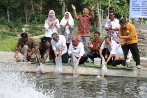 Peroleh Dana Insentif Dari Pemerintah Pusat, Bupati Sleman Serahkan 15 Sarana Prasarana Budidaya Ikan Nila