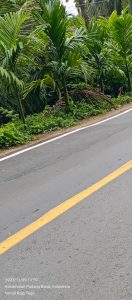 Mutu Pekerjaan PT. CMNB di Proyek Rehabilitasi Mayor Jalan Padang Kambang Dipertanyakan