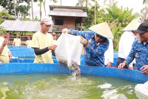 PJ Walikota Lepas 20 Ribu Bibit Ikan Lele di Koto Panjang