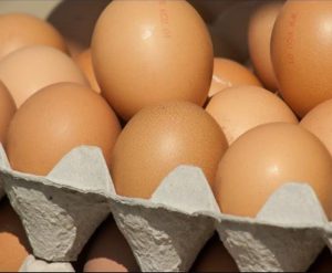 Harga Telur Ayam Ras di Bukittinggi Naik Tiga Kali Lipat