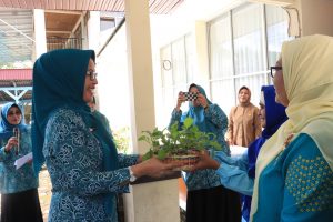 Ketua TP PKK Payakumbuh Serahkan Bibit Tanaman