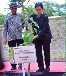 Kunjungan Kerja ke Boyolali, Ketua DPR RI Tanam Pohon dan Bertemu Seniman di KRIB
