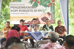 Perluas Lahan Kebun Kopi Lereng Merapi, Pemkab Sleman Tanam 50 Ribu Bibit Kopi