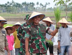 Gerakan Tanam Serentak Spektakuler 3000 Ha, Kodim 0314/Inhil mengejar Impian Swasembada Beras yang Pernah Hilang di Kabupaten Indra Giri Hilir