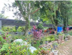 PJ Bupati Merangin, Perintahkan Bongkar Bangunan Tampa Izin Di Kawasan RTH Kota Bangko. 