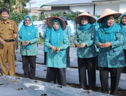 TP-PKK Kabupaten Asahan Ikut Gerakan Tanam Cabai Serentak