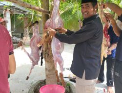 Peringati Idul Adha, DPP Santri Tani NU Qurbankan 1 Ekor Sapi dan 5 Ekor Kambing