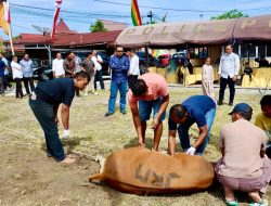 Idul Adha 1445 H/2024 M, Polresta Pekanbaru Sembelih 13 Ekor Hewan Qurban