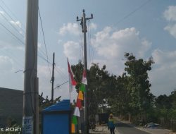 PLN Rampungkan Proyek Perusahaan UD Selepan Di Desa Denggungan