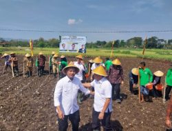 Bapanas: Saatnya Indonesia Menggenjot Produksi Pangan dalam Negeri