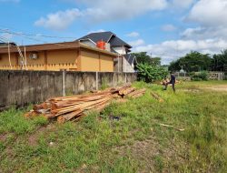 Dituding Tak Mampu Tertibkan Ilegal Logging, Kapolres Kampar Beri Bukti Nyata Puluhan Tual Kayu Ilog Diamankan  