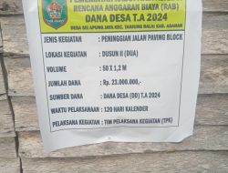 Diduga Mark-up Pada Pengerjaan Pavingblok Di Gang Sempit Dusun II Sei. Apung Jaya, LSM PKN Akan Lapor Ke Jaksa