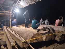 Polres Kampar Ungkap kasus illegal logging di Sawmill Terbesar diwilayah Hukumnya
