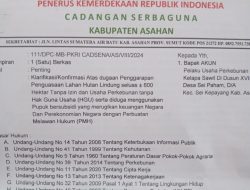 Diduga Melanggar Aturan Hukum, LSM PKRI Surati Akun Pelaku Usaha Kebun Sawit Di Sei. Paham Asahan