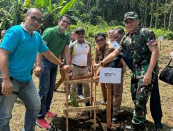 Pemda Padang Pariaman bersama Kejari Pariaman Lakukan Penghijauan dan Penanaman 1000 Pohon di Kawasan Rumah Putiah Nagari Kapalo Hilalang