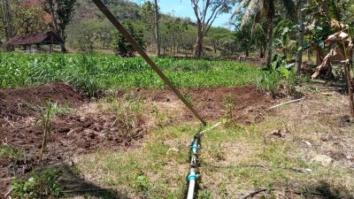 Melakukan Pengeboran Sumber Air di Tanah Kehutanan RPH Kedungwanglu BDH Paliyan