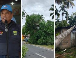 Padang Pariaman Dilanda Hujan Lebat Disertai Angin Kencang, Bupati Suhatri Bur Kerahkan Petugas Gerak Cepat Bersihkan Material Pohon Tumbang
