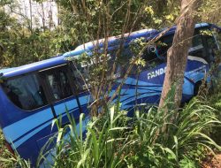 Bus Pariwisata Tak Kuat Nanjak Akhirnya Terperosok Di Jalan Patuk Dlingo