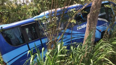 Bus Pariwisata Tak Kuat Nanjak Akhirnya Terperosok Di Jalan Patuk Dlingo