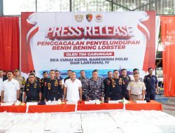 Dirkrimsus Polda Kepri Hadiri Kegiatan Konferensi Pers Penyeludupan BBL sebanyak 237.305 Benih Benih Lobster Senilai. 23,6.Miliar