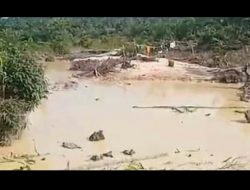 PENAMBANG EMAS ILLEGAL DI MENTAWAK SEMAKIN MARAK DAN TIDAK ADA TAKUT