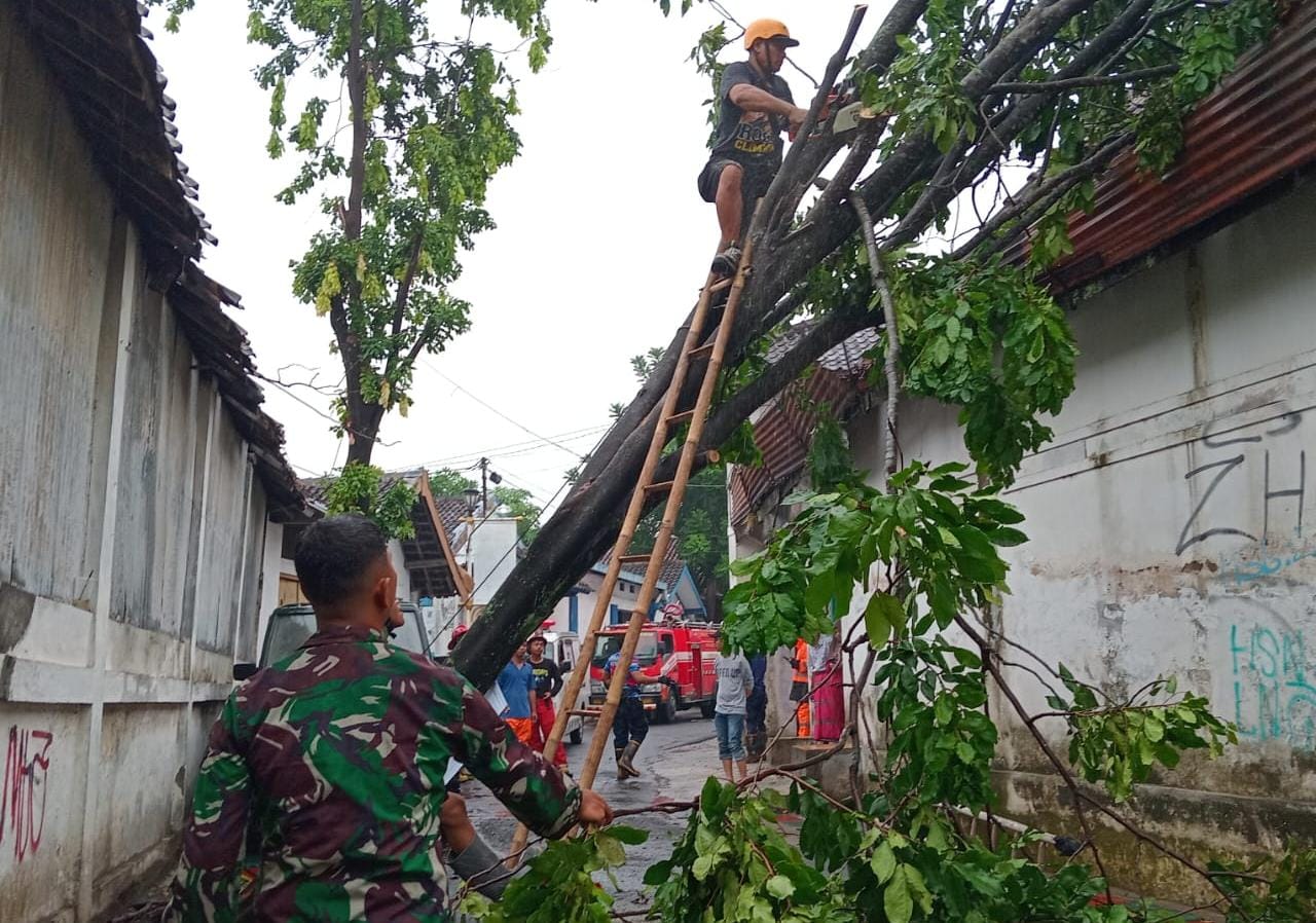 *Sigap Dan Gerak Cepat, Babinsa Laweyan Bersama Damkar Dan BPBD, Serta Warga Gotong Royong Evakuasi Pohon Tumbang di Wilayah Binaan*