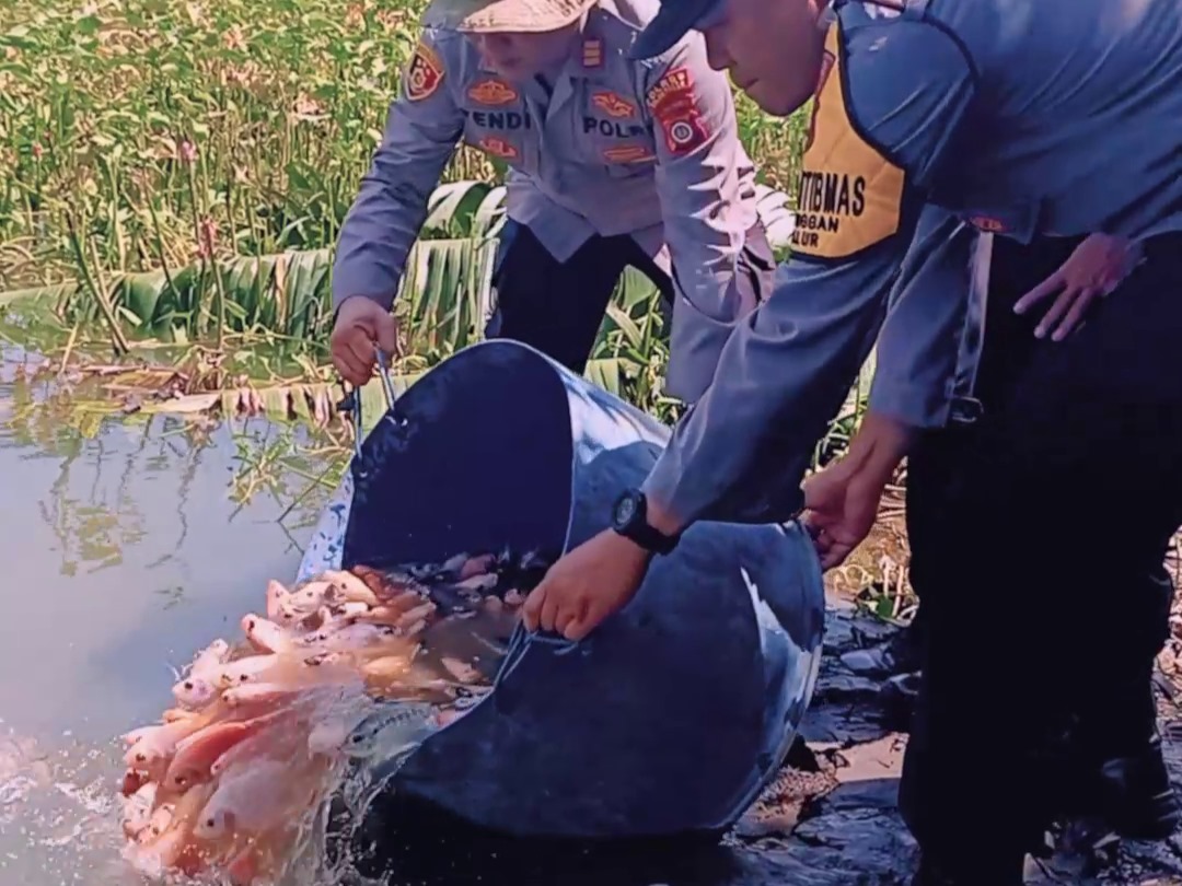 Kapolsek Galur Serta Dinas Kelautan dan Perikanan,Tebar Ribuan Bibit Ikan Nila Untuk Dukung Ketahanan Pangan