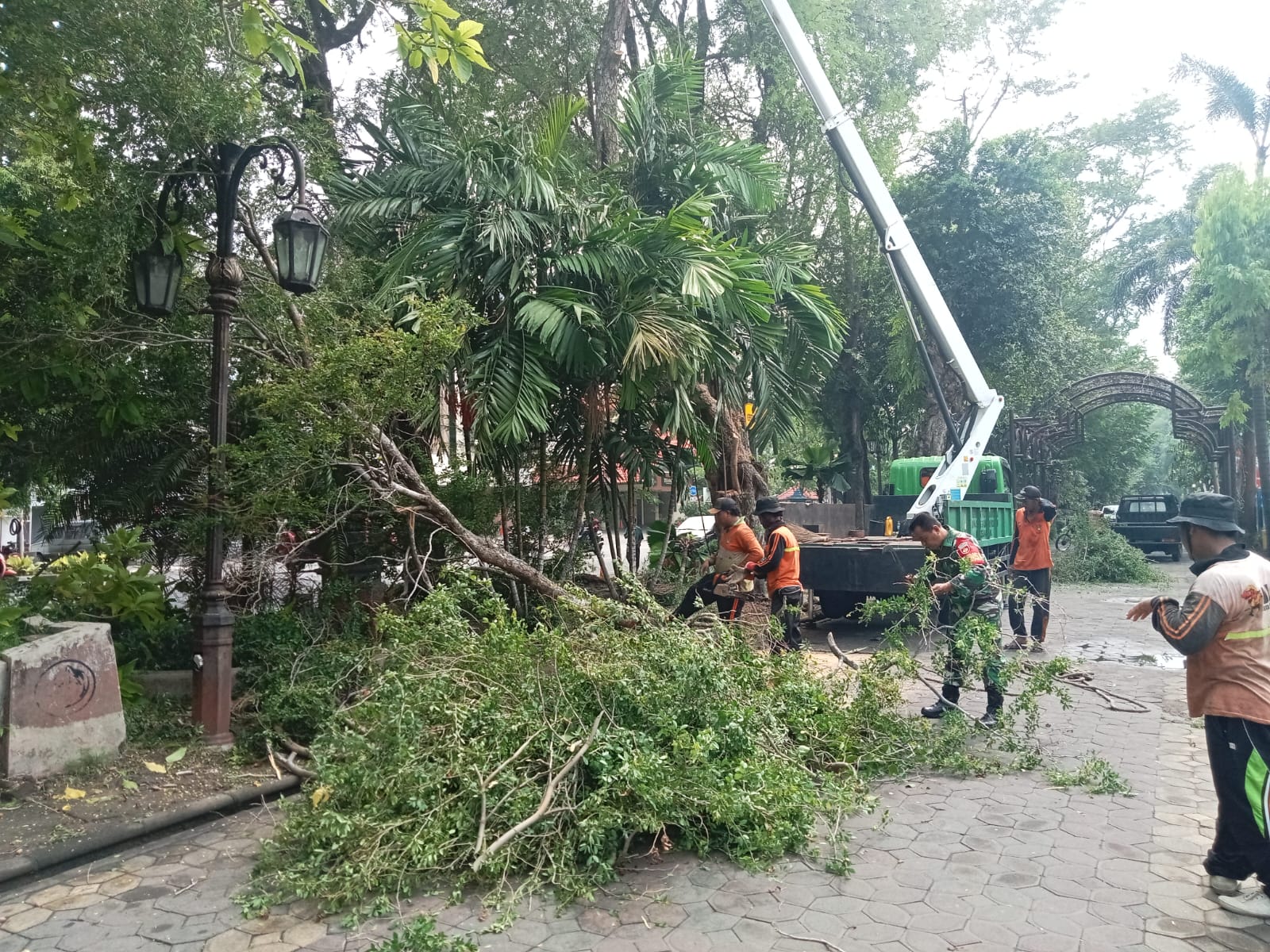 *Babinsa Purwosari Bersama DLH Laksanakan Pemangkasan Cabang Pohon Yang Rapuh, Ini Tujuannya*