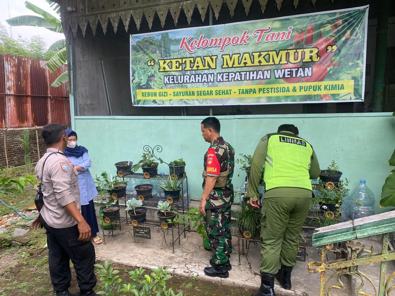 *Dukung Ketahanan Pangan, Babinsa Bersama Bhabinkamtibmas Kepatihan Wetan Dampingi Kelompok Tani Ketan Makmur*