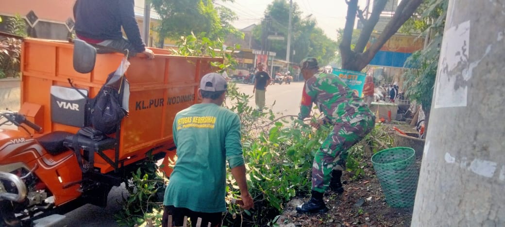 *Babinsa Purwodiningratan Turun Tangan, Kerja Bakti Pemangkasan Pohon Wujudkan Lingkungan Bersih Dan Nyaman*