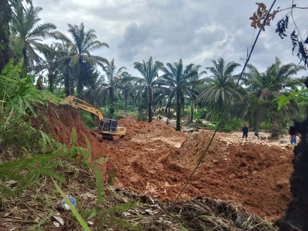 “DUL” PEMAIN PETI DI SEKITARAN DESA SUNGAI KAPAS TRANS C 2 MERANGIN JAMBI