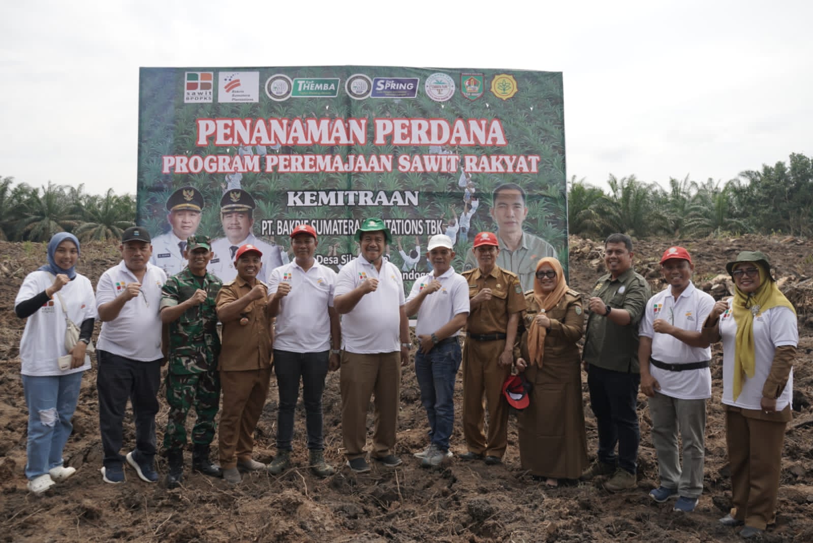 Wakil Bupati Asahan Ikuti Penanaman Perdana Program PSR