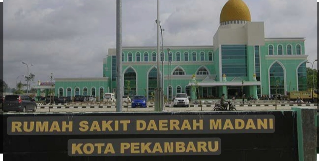 Terkait Kekisruhan RSD Madani, Kepala BKPSDM Tegaskan “Tak ada kekisruhan dilingkungan ASN “