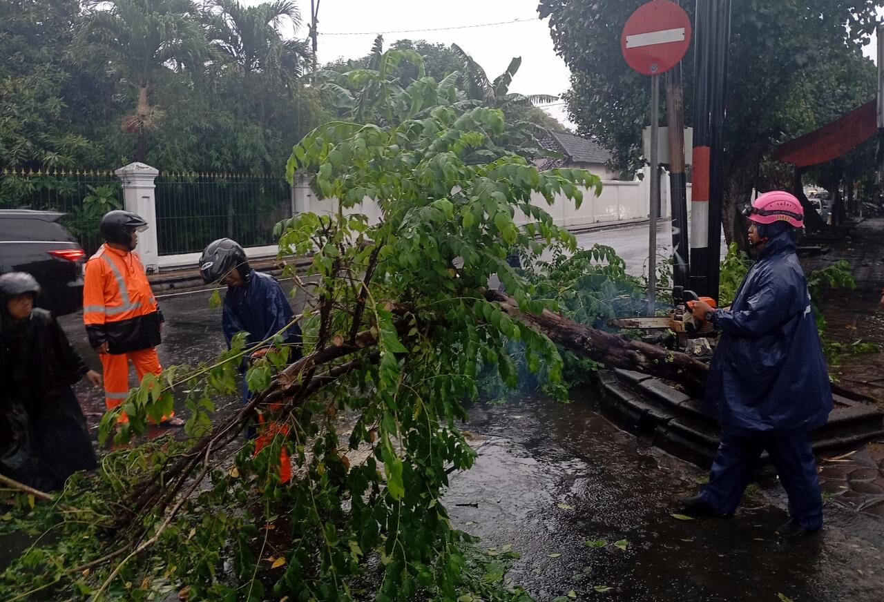 Babinsa Keprabon Bersama BPBD, Linmas Dan Warga Masyarakat Evakuasi Pohon Tumbang