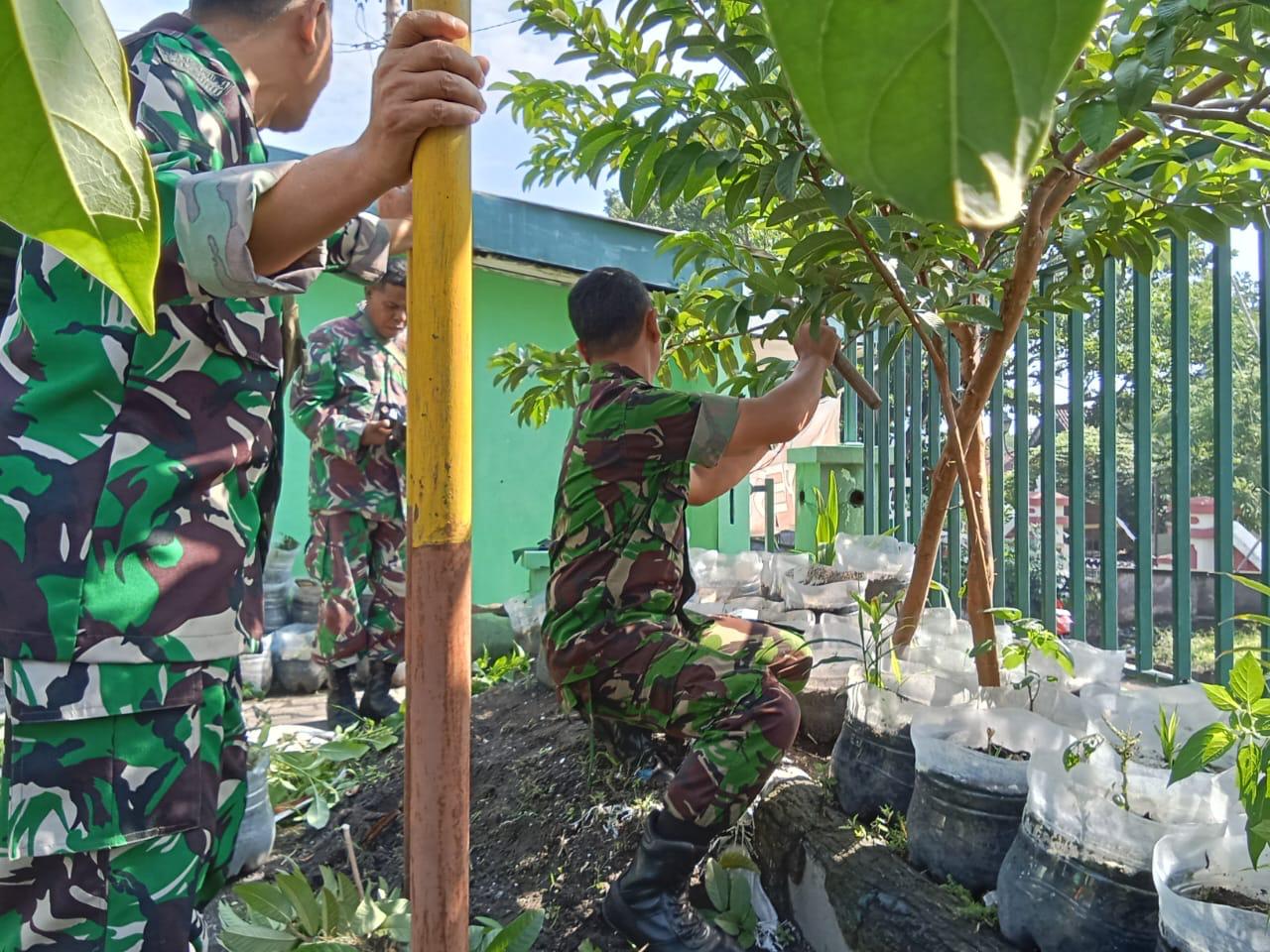 Begini Cara Danramil 04/Jebres Bersama Anggota Dalam Mendukung Swasembada Pangan Wilayah