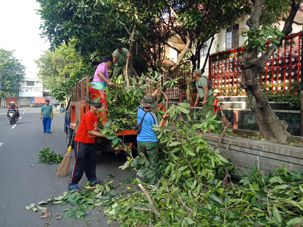 Antisipasi Korban Jiwa, Babinsa Bersama Warga Laksanakan gotong Royong Perempelan Ranting Pohon