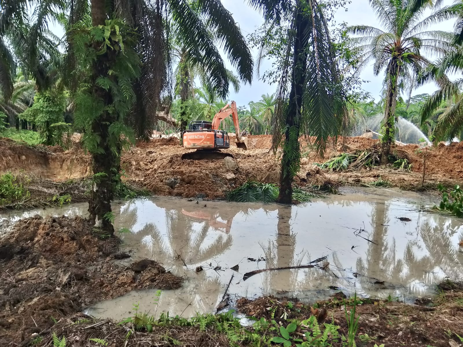 SIGIT CS EXIS DALAM AKTIPITAS PETI DI DESA RASAU B2 MERANGIN
