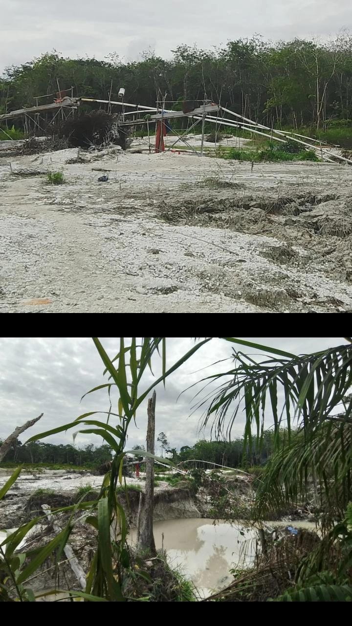 RAMDAN DAN ALDI SUKSES KENDALIKAN BISNIS PETI DI SUNGAI KUNING MERANGIN