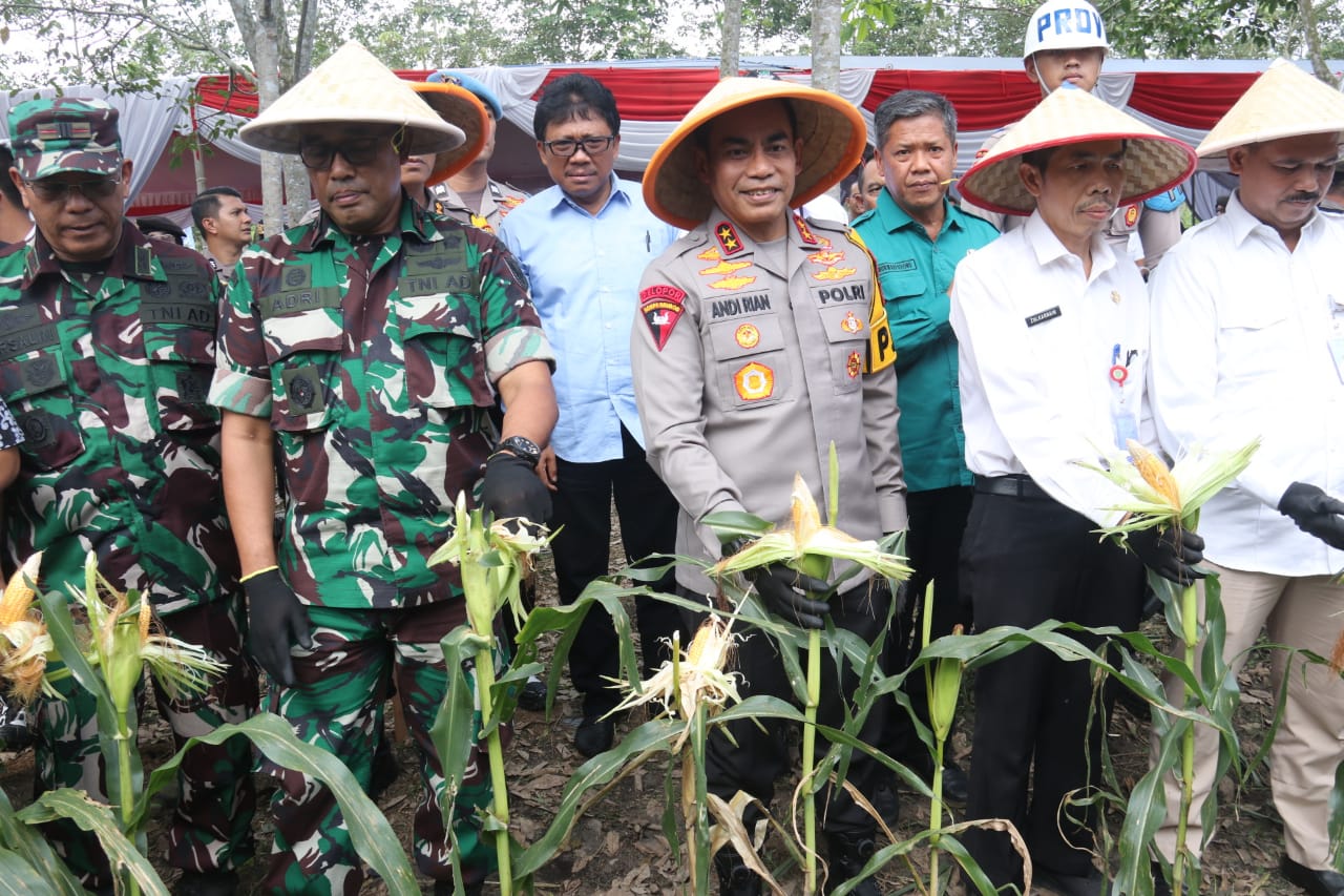 Kapolda Sumsel Hadiri Panen Raya Jagung Program Ketahanan Pangan di Ogan Ilir