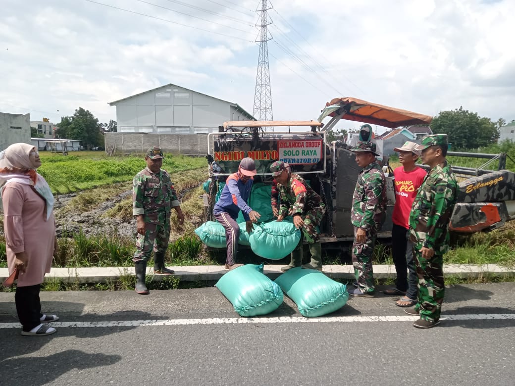 Sukseskan Ketahanan Pangan, Anggota Koramil 02/Banjarsari Bantu Petani Panen Padi