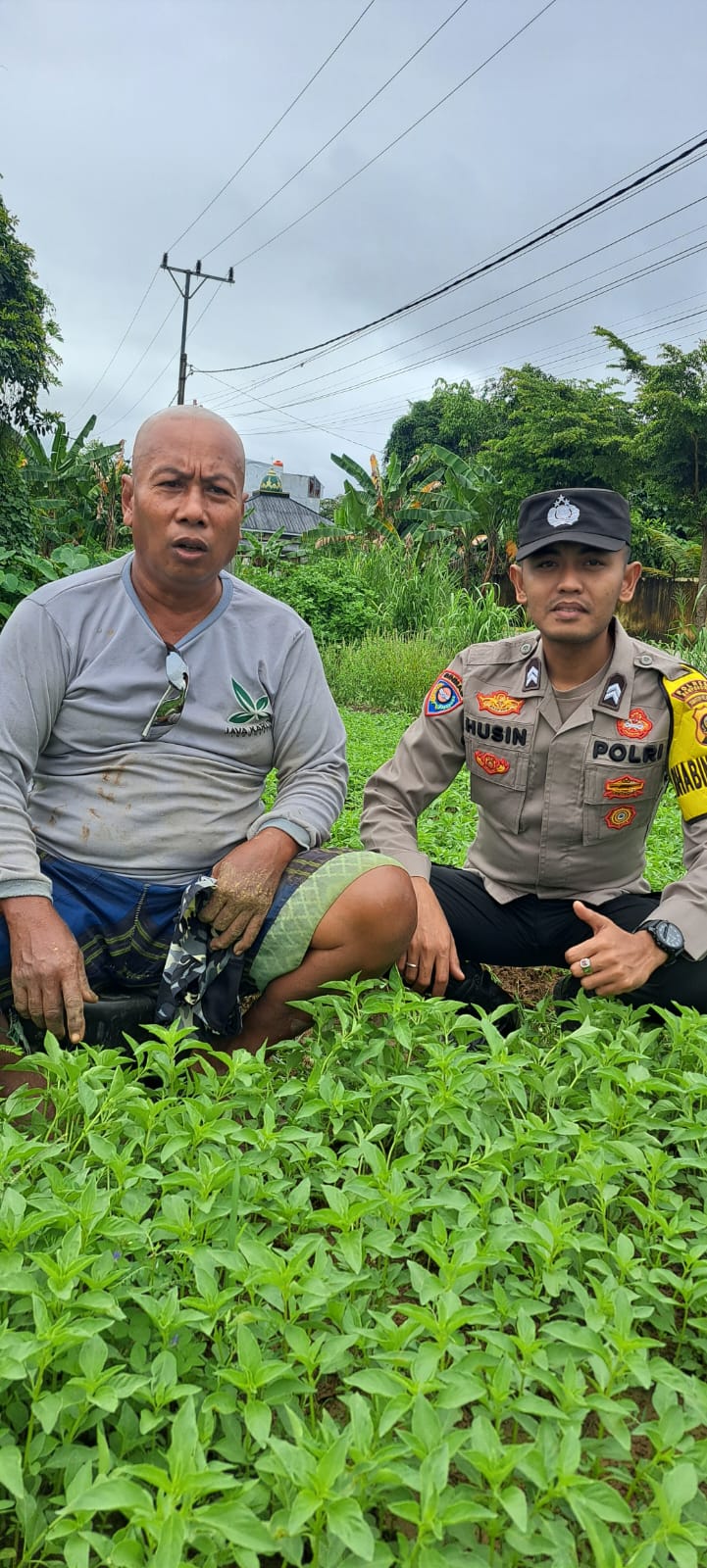 Dukung Ketahanan Pangan, Briptu M Husein S Ajak Warga Binaan Untuk Memanfaatkan Lahan Pekarangan