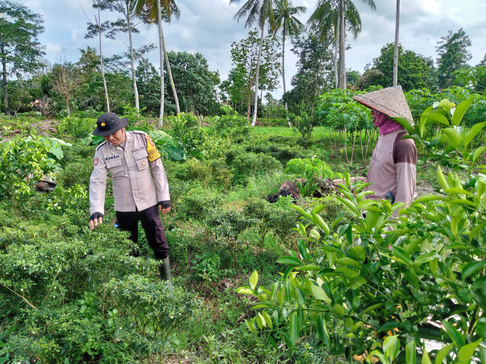 Anggota Polsek Makarti Jaya Rawat Tanaman Cabai Milik Warga Binaan