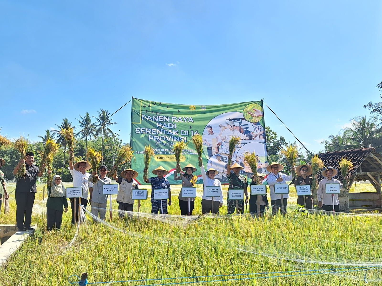 ‎Panen Raya Padi Di Kalurahan Bejiharjo, Dandim 0730/Gunungkidul Tegaskan Komitmen TNI Dalam Swasembada Pangan.