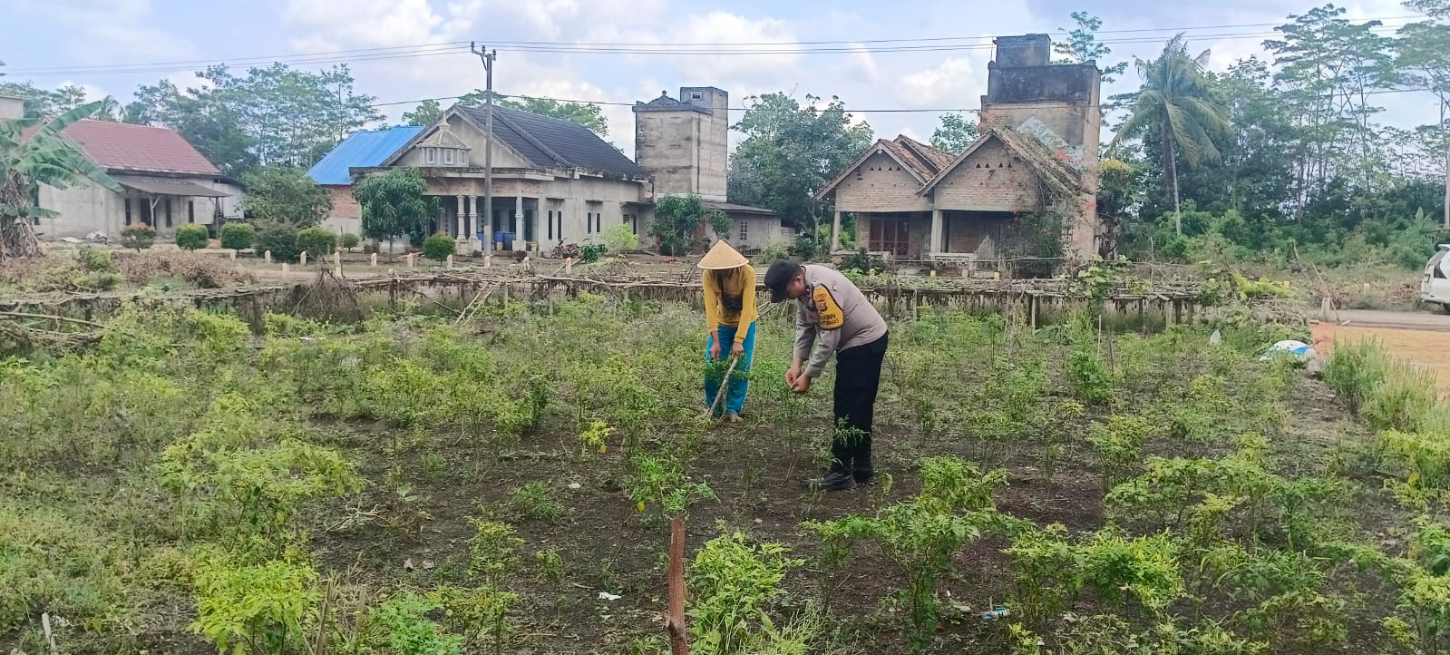 Aipda Anjodhi Ibrahim Dukung Warga Yang Telah Mengembangkan Lahan Pertanian