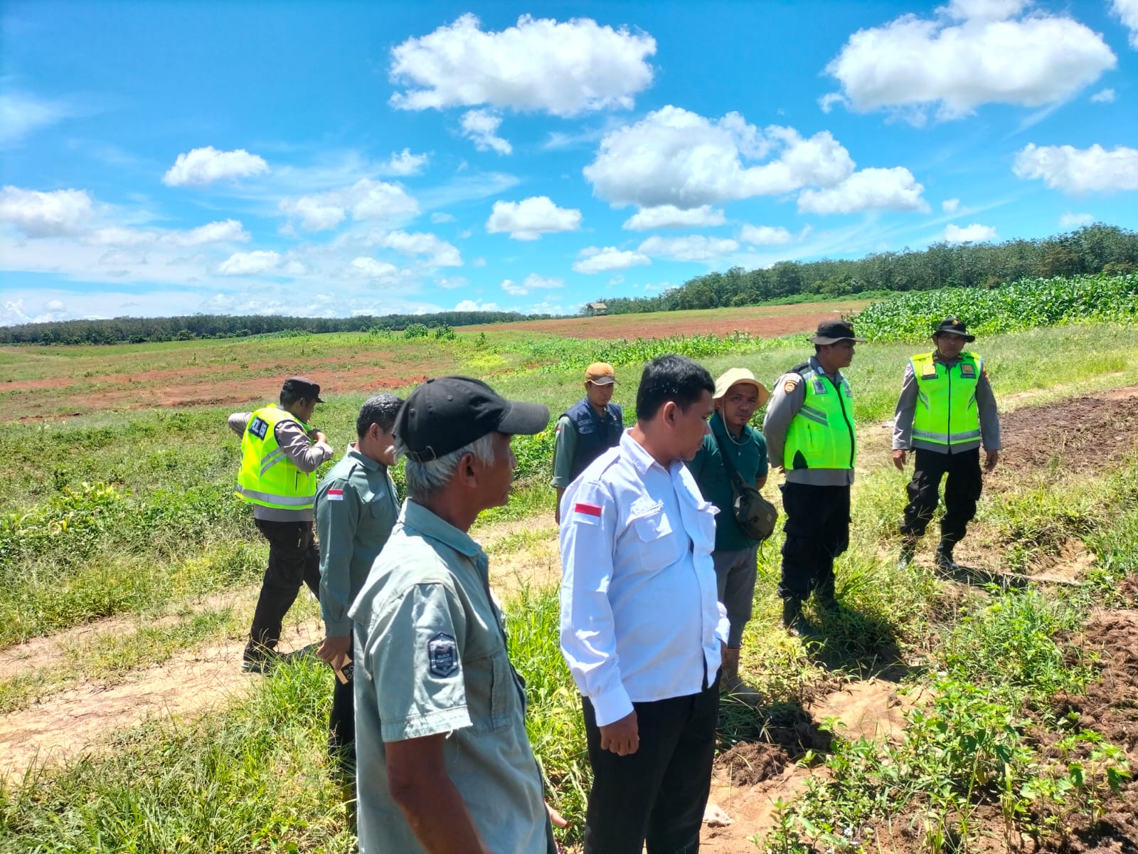Kanit Binmas Polsek Betung Turun Langsung Cek Tanaman Jagung di Lahan PT. Citra Sembawa