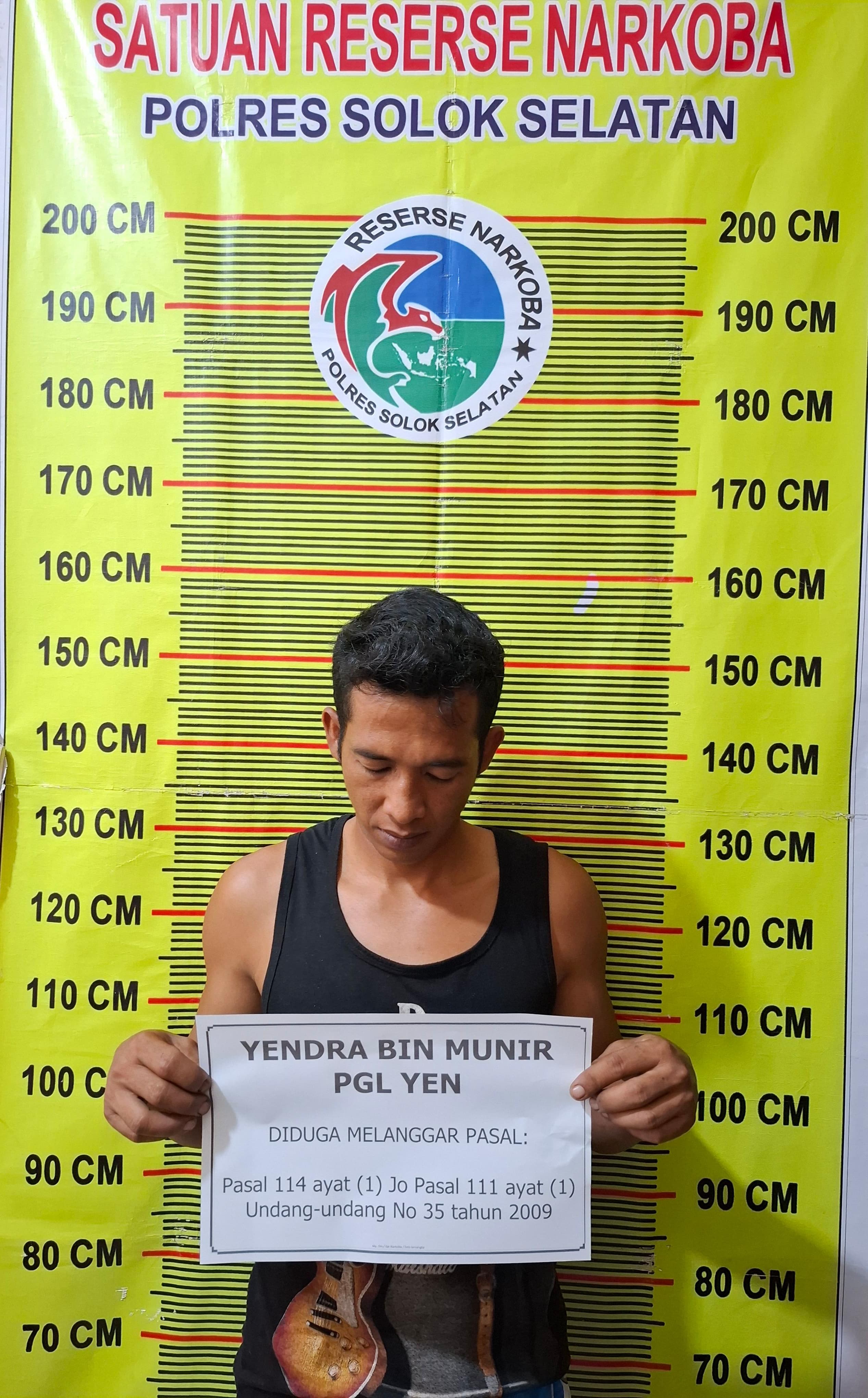34 Paket Ganja Kering Siap Edar Berhasil Diamankan Oleh Sat Res Narkoba Polres Solok Selatan