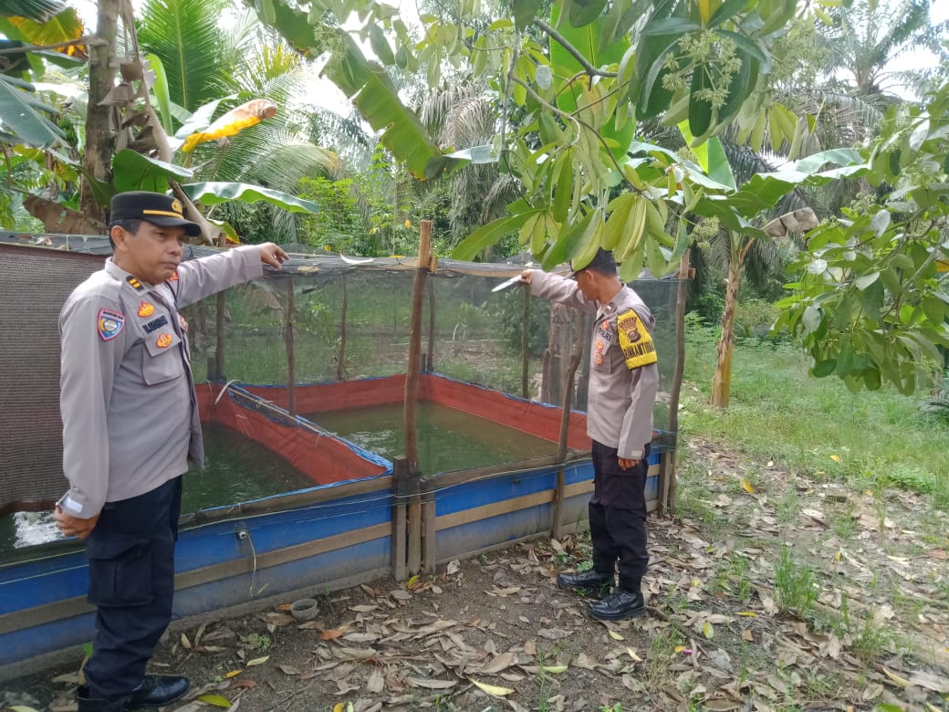 Polsek Betung Dorong Ketahanan Pangan Melalui Budidaya Ikan Lele