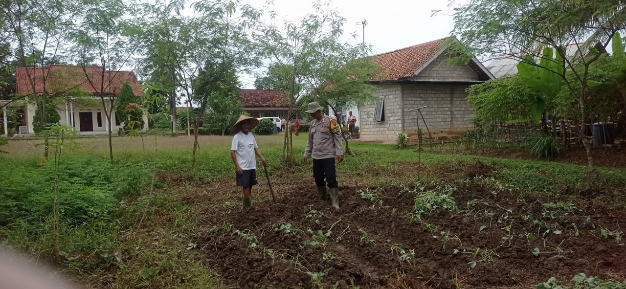 Diharapkan Keberlanjutan Program Ketahanan Pangan Bergizi Dapat Terus Ditingkatkan