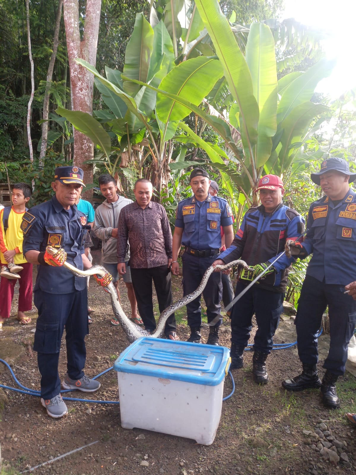 Seorang Warga Kubang Pasirlangu Mendadak Cemas Dan Takut Saat Ular Besar Berada Di Kandang Ayamnya